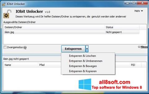 Screenshot IObit Unlocker Windows 8