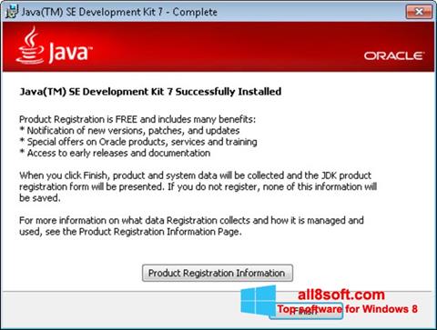 Screenshot Java Windows 8