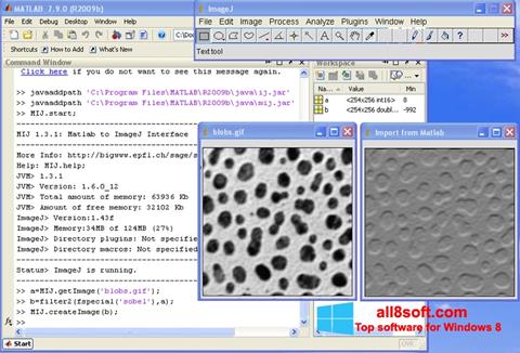 Screenshot ImageJ Windows 8